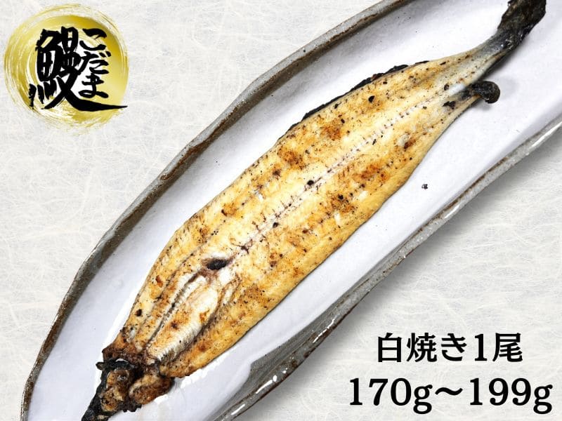 白焼き1尾170g～199gイメージ